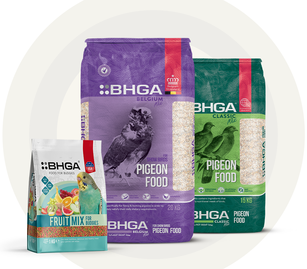 BHGA bird food range