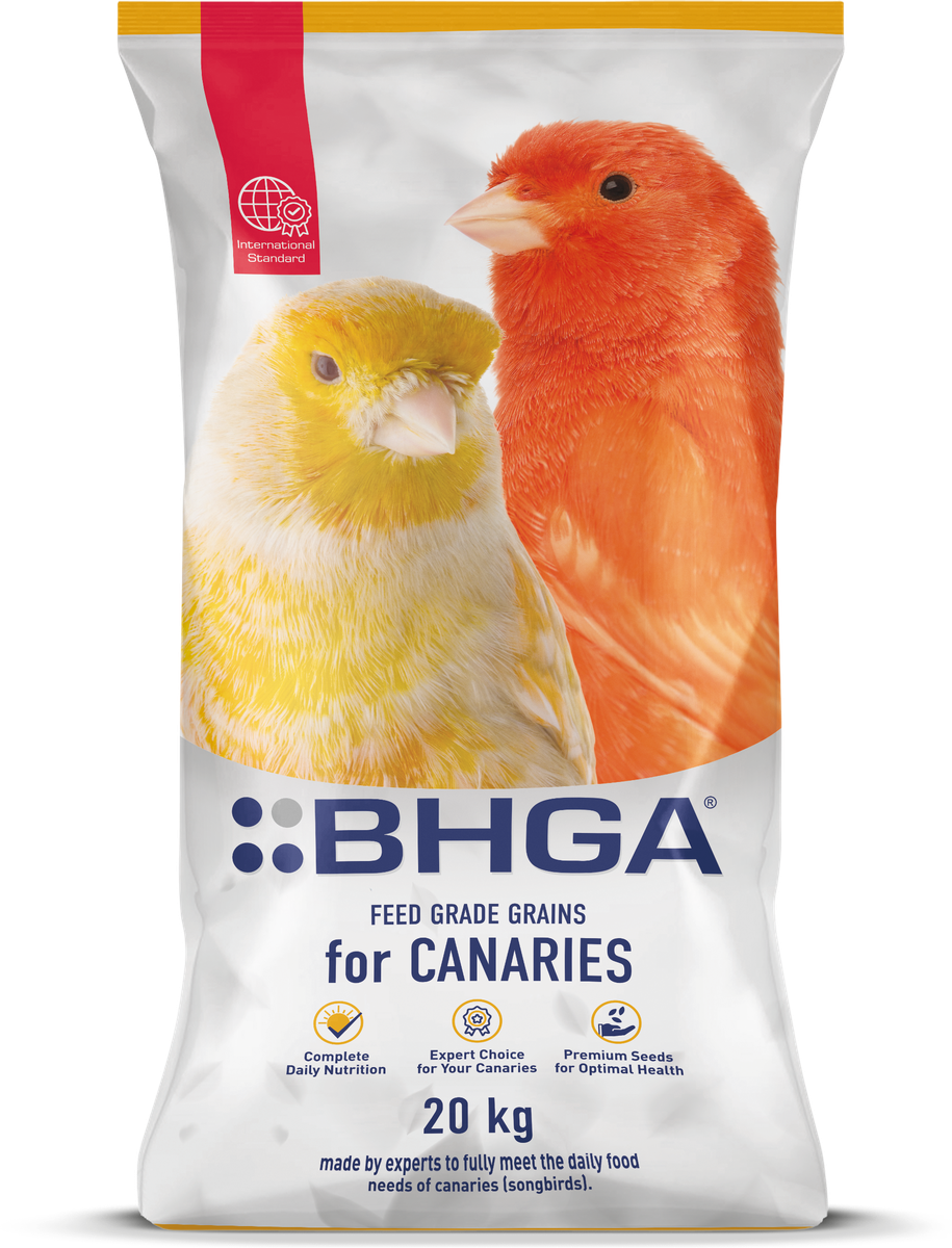 Feed Grade Grains for Canaries Feed Grade Grains for Canaries